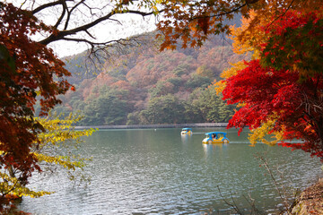 Red autumn leaves against the background of a calm lake