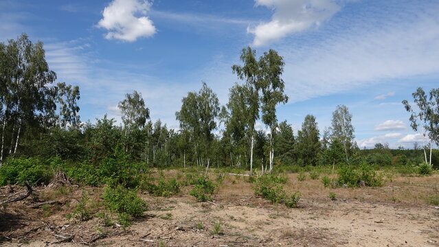 D&ouml;beritzer Heide