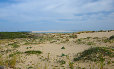 
Sand dunes on the coast of Cap-Ferret sea beach The Atlantic Ocean in Western France. Dune du Pilat in the background.
