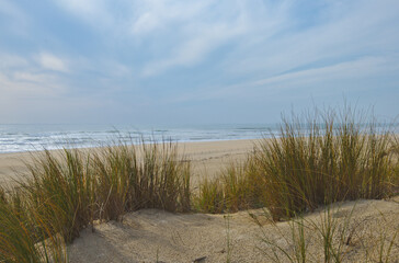 
Sand dunes on the coast of Cap-Ferret sea beach The Atlantic Ocean in Western France. Dune du...