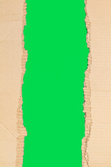 Textura de papel rasgado, cartón corrugado sobre un fondo verde. Vista superior y de cerca. Copy...