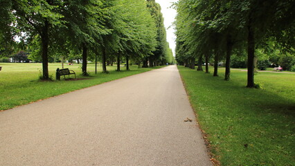 Allee in der  Stadt Ludwigsburg führt vom blühenden Barock weg