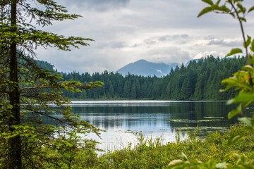 Beautiful view of a calm lake surrounded by evergreen trees under a cloudy sky - obrazy, fototapety, plakaty
