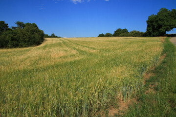 Obraz premium Blick ins Heckengäu bei Weissach 