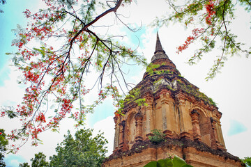 Archaeological and Buddhist sites, historical religious sites, Buddha, temples, ceremonial areas, religious attractions, Buddhist churches, antiques, pagodas, nature and dharma.