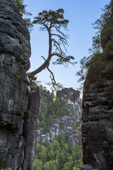 Sächsische Schweiz