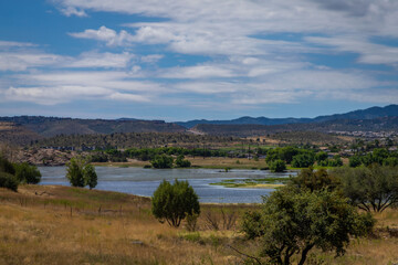 Prescott Arizona lake in the distance with desert trees in the foreground