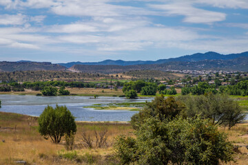 Fototapeta na wymiar Prescott Arizona lake in the distance with desert trees in the foreground