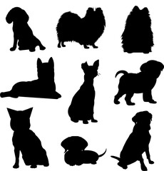 Pet Animal Silhouettes, art vector designDogs pets character. Labrador dog, golden retriever and husky. Cartoon vector isolated illustration set 