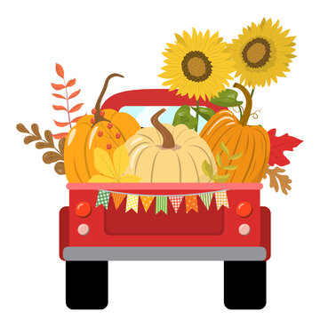 Red autumn harvest pickup truck vector illustration. Set of pumpkins, sunflowers, and fallen autumn leaves. Isolated on white background. Autumn garden themed design in cartoon style.