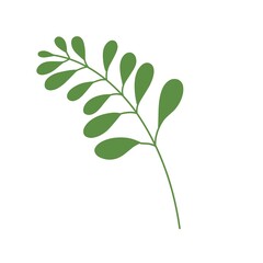 hand-drawn green branch line art illustration on white background, foliage, leaves