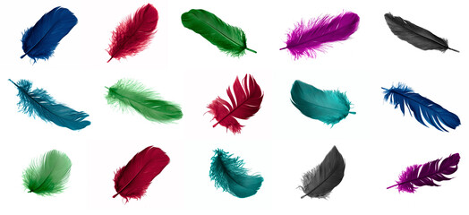 colorful feathers of a goose on a white isolated background