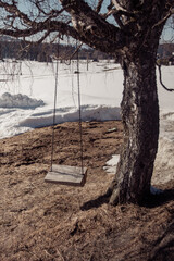 wooden swing under the tree during winter