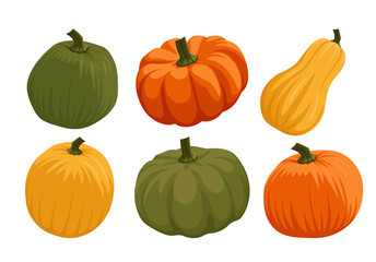 Set of different pumkins and squash cartoon vector set illustration. Orange, yellow, green. Butternut. Thanksgiving, helloween, harvest