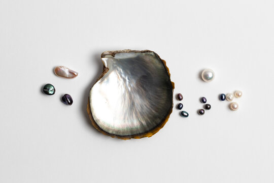 Different Types of Pearls and Mother of Pearl from minerals collection. Isolated Gems on White.