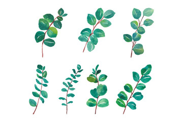 Greenery eucalyptus leaf isolated element collection for wedding invitation decoration