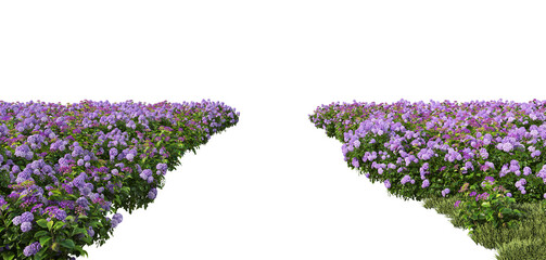 3d render flower garden on white background