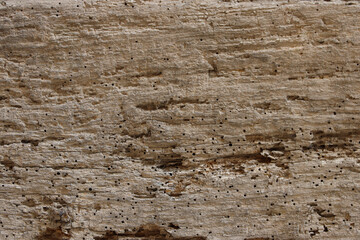 wooden wood texture background