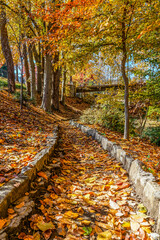 Greenville, South Carolina arboretum in the fall season.