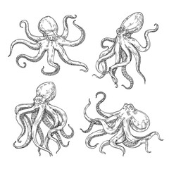 Fototapeta na wymiar Sketch octopuses. Hand drawn squid animal, octopus with tentacles, underwater creature tattoo vector illustration