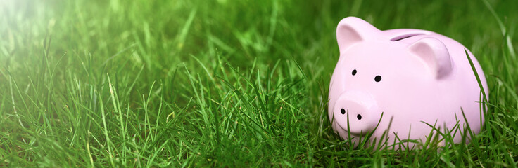 .Pink Piggy bank on green grass in summer, copy space. World crisis concept. Banner