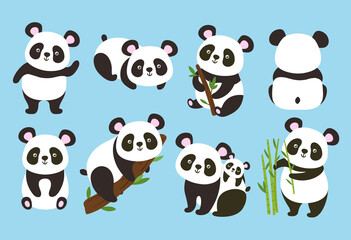 Cartoon pandas. Cute baby bear with bamboo and tree branches, panda in different poses vector illustration set