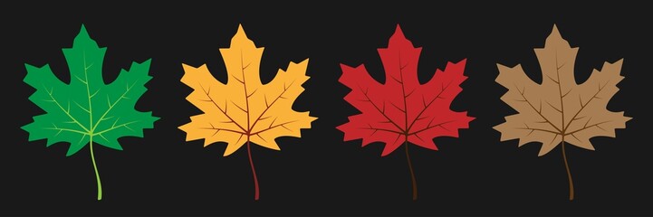 Maple leaves in green, yellow, red and brown colors, isolated on a black background. Autumn background with leaves for design. Vector illustration.