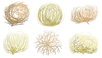Cartoon tumbleweed. Western valleys and deserts plant, rolling dry tumble weed ball roots vector set