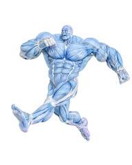 muscle maps of a strong man doing a fast jump