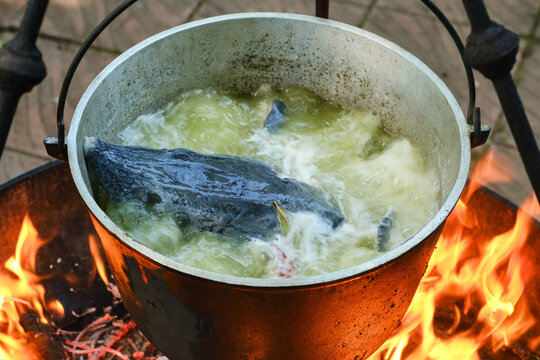 Cooking delicious fish soup or uha on a fire. Cast iron cauldron with boiling fish broth and sturgeon. Shallow depth of field.