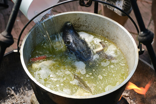 Cooking delicious fish soup or uha on a fire. Cast iron cauldron with boiling fish broth and head sturgeon. Shallow depth of field.