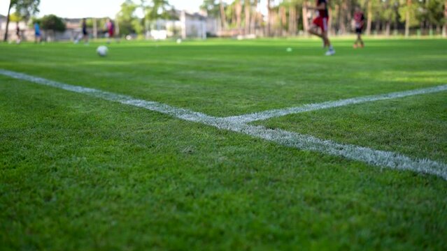 Brisk young football players training together on the sport field with grass covering. Bottom view. Selective focus
