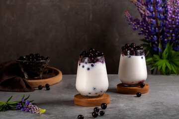 Two glasses with milk cocktail from black currant. Nearby are lupine flowers and currant berries