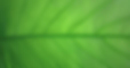 Defocused, natural abstract background. for mobile app etc.