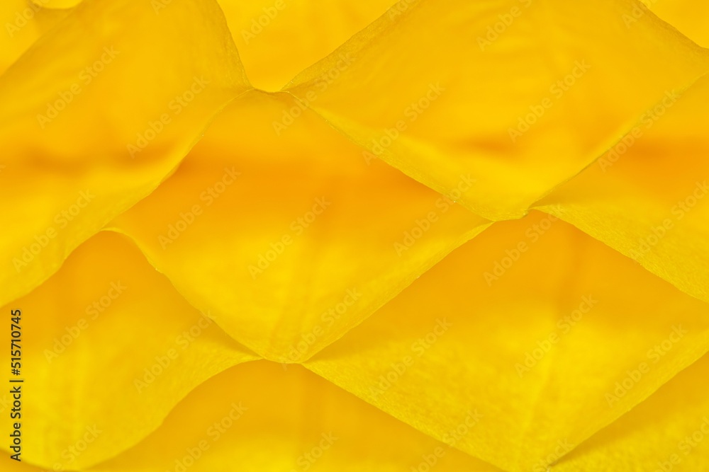 Wall mural yellow paper cells abstract patterns and textures background with shallow depth of field.