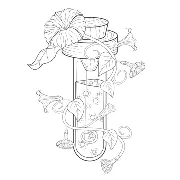 Glass flask decorated with flowers. Linear style isolated on a white background.