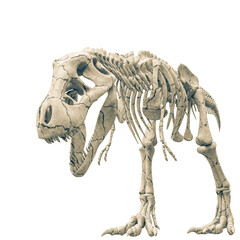 Fototapeta premium tyrannosaur skeleton eating pose