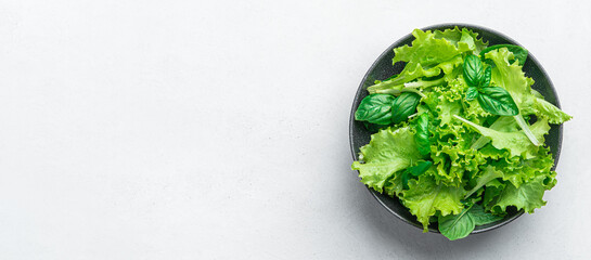 A mixture of healthy, fresh greens in a plate on a gray background. Fresh basil and lettuce leaves....