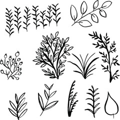 Vector set of plants. For printing on fabric and paper. Vector simple drawing.