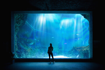 silhouette of a person with a laptop