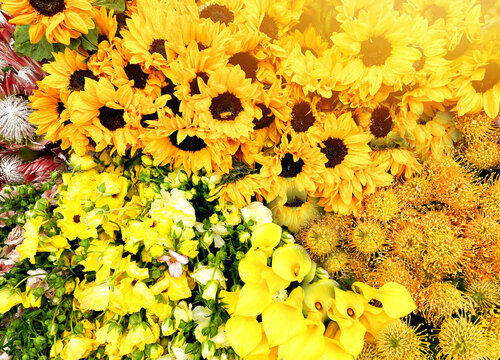 Bouquet of yellow flowers - summer, autumn greeting card