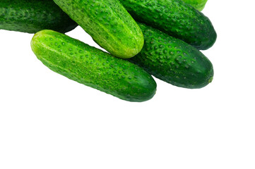 green cucumbers on a white background. ripe gherkins on a table. fresh vegetables on a light texture. the concept of growing cucumbers