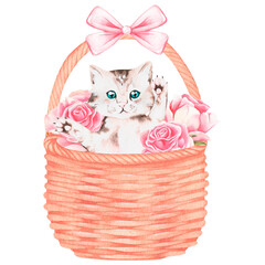 A kitten in a basket with roses. Watercolor illustration. Isolated on a white background. For design © Ekaterina
