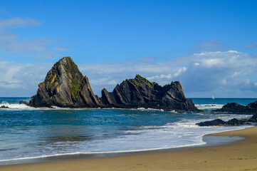 Flysch, the history of life on earth