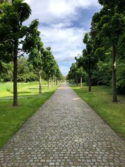 alley in the park