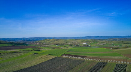 Fototapeta na wymiar Aerial view of the green agricultural fields of a farm in early spring on a clear sunny day with blue skies. Agricultural and landscape aerial photography