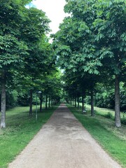 path in the park
