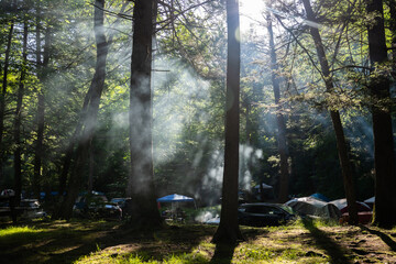 Sun rising in a forest camp with tents