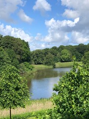 Fototapeta premium lake in the forest