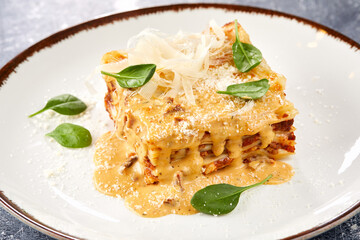 .Traditional homemade italian lasagna with tomato sauce